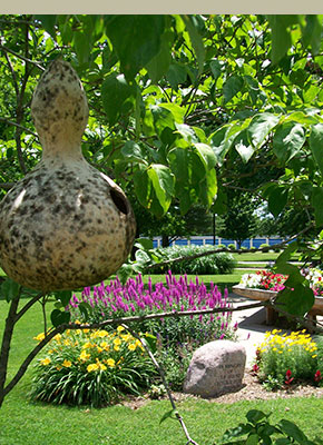 bird house